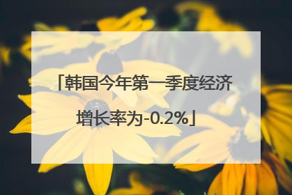 韩国今年第一季度经济增长率为-0.2%