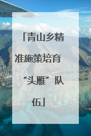 青山乡精准施策培育“头雁”队伍
