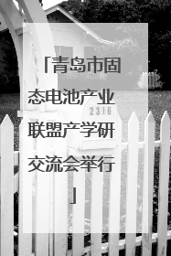 青岛市固态电池产业联盟产学研交流会举行