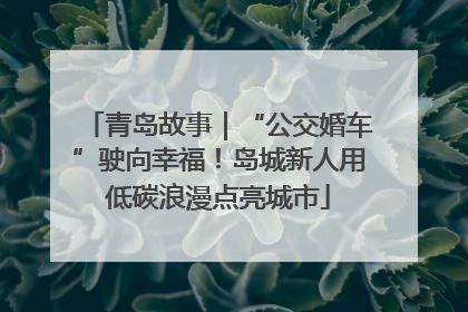 青岛故事｜“公交婚车”驶向幸福！岛城新人用低碳浪漫点亮城市