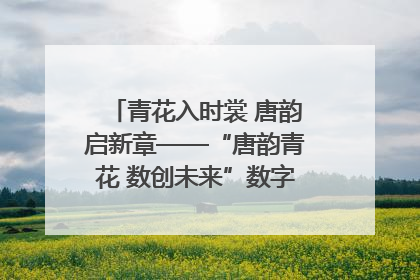 青花入时裳 唐韵启新章——“唐韵青花 数创未来”数字文创设计大赛启幕