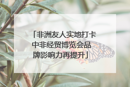 非洲友人实地打卡 中非经贸博览会品牌影响力再提升