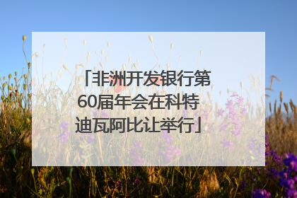 非洲开发银行第60届年会在科特迪瓦阿比让举行