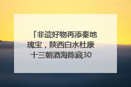 非遗好物再添秦地瑰宝，陕西白水杜康十三朝酒海陈藏30年别具一格