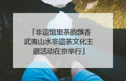 非遗馆里茶韵飘香 武夷山水非遗茶文化主题活动在京举行