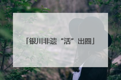 银川非遗“活”出圈