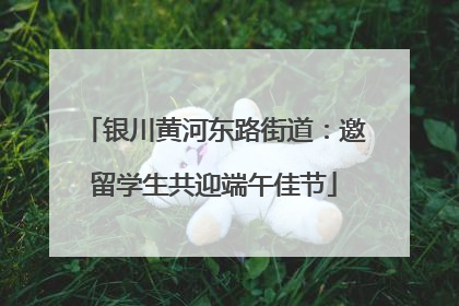 银川黄河东路街道：邀留学生共迎端午佳节