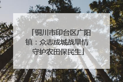 铜川市印台区广阳镇：众志成城战旱情 守护农田保民生