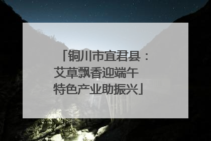 铜川市宜君县：艾草飘香迎端午 特色产业助振兴