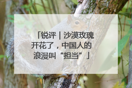 锐评｜沙漠玫瑰开花了，中国人的浪漫叫“担当”