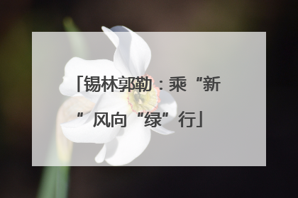 锡林郭勒：乘“新”风向“绿”行
