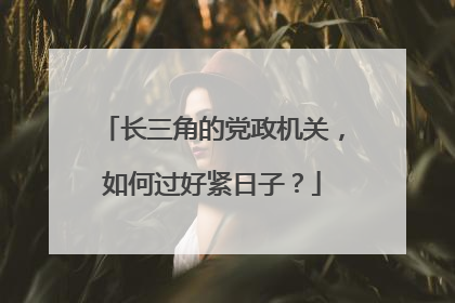 长三角的党政机关，如何过好紧日子？