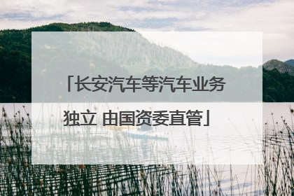 长安汽车等汽车业务独立 由国资委直管