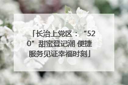 长治上党区：“520”甜蜜登记潮 便捷服务见证幸福时刻