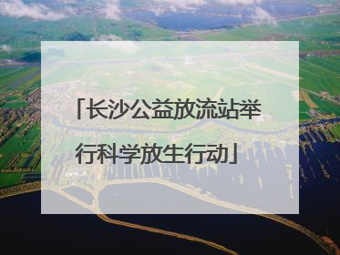 长沙公益放流站举行科学放生行动