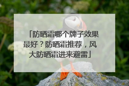 防晒霜哪个牌子效果最好？防晒霜推荐，风大防晒霜进来避雷