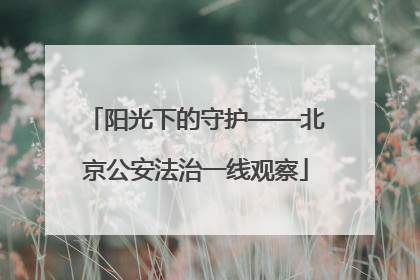 阳光下的守护——北京公安法治一线观察
