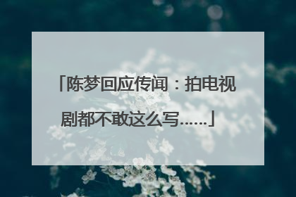 陈梦回应传闻：拍电视剧都不敢这么写……