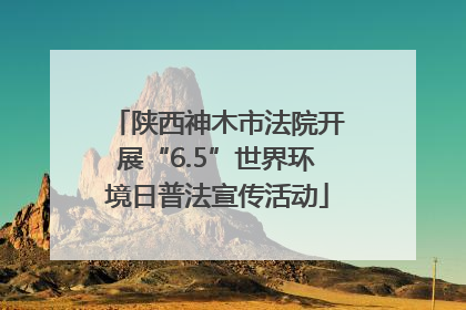 陕西神木市法院开展“6.5”世界环境日普法宣传活动
