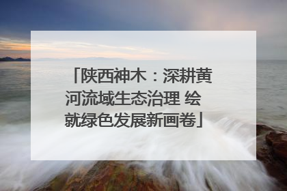 陕西神木：深耕黄河流域生态治理 绘就绿色发展新画卷