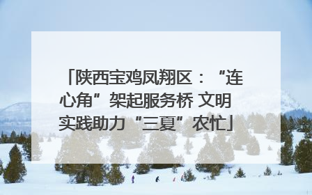 陕西宝鸡凤翔区：“连心角”架起服务桥 文明实践助力“三夏”农忙