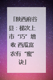 陕西府谷县：梯次上市“巧”增收 西瓜富农有“蜜”诀
