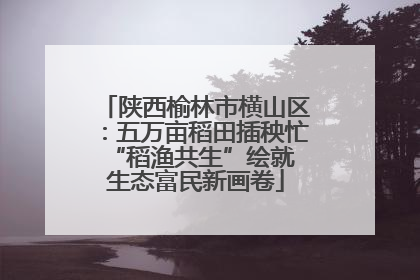 陕西榆林市横山区：五万亩稻田插秧忙 “稻渔共生”绘就生态富民新画卷