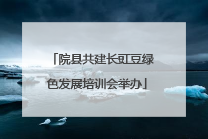 院县共建长豇豆绿色发展培训会举办