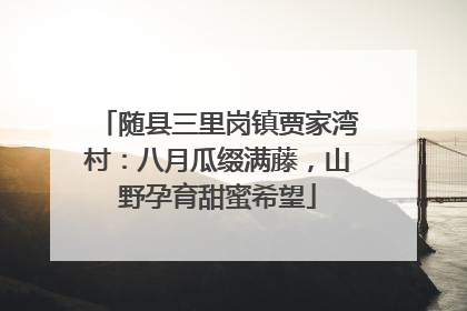 随县三里岗镇贾家湾村：八月瓜缀满藤，山野孕育甜蜜希望