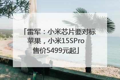 雷军：小米芯片要对标苹果，小米15SPro售价5499元起