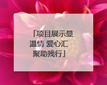 项目展示显温情 爱心汇聚助残行
