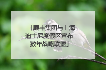 顺丰集团与上海迪士尼度假区宣布数年战略联盟
