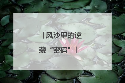 风沙里的逆袭“密码”