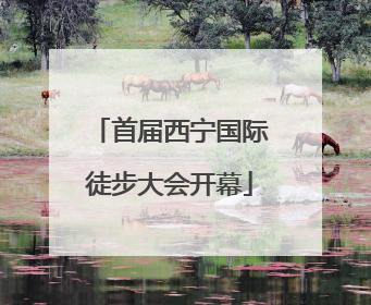首届西宁国际徒步大会开幕