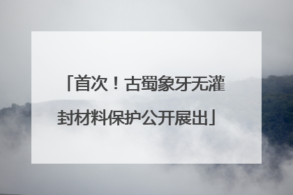 首次！古蜀象牙无灌封材料保护公开展出