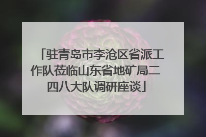 驻青岛市李沧区省派工作队莅临山东省地矿局二四八大队调研座谈