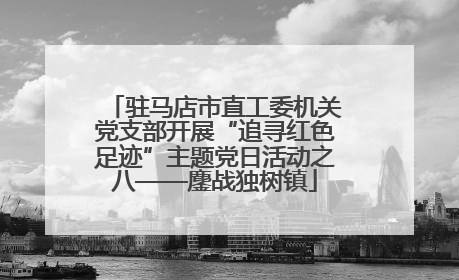 驻马店市直工委机关党支部开展“追寻红色足迹”主题党日活动之八——鏖战独树镇