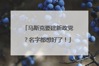 马斯克要建新政党？名字都想好了！
