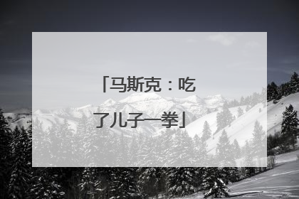 马斯克：吃了儿子一拳
