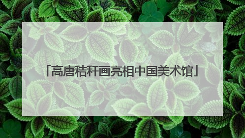 高唐秸秆画亮相中国美术馆