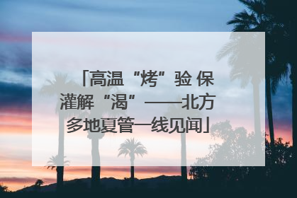 高温“烤”验 保灌解“渴”——北方多地夏管一线见闻