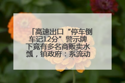 高速出口“停车倒车记12分”警示牌下竟有多名商贩卖水瓢，镇政府：系流动摊位，已多次劝离