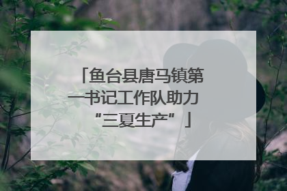 鱼台县唐马镇第一书记工作队助力“三夏生产”