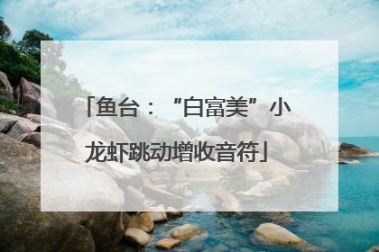 鱼台：“白富美”小龙虾跳动增收音符