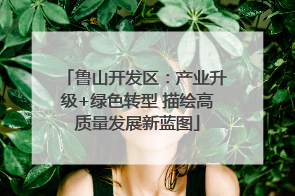 鲁山开发区：产业升级+绿色转型 描绘高质量发展新蓝图