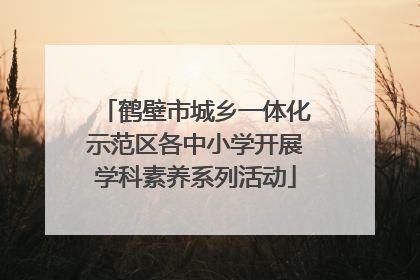 鹤壁市城乡一体化示范区各中小学开展学科素养系列活动