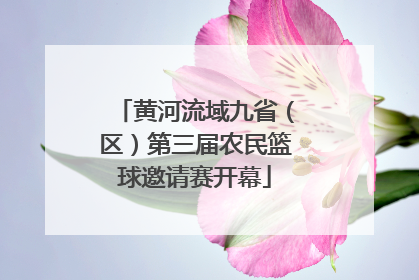 黄河流域九省（区）第三届农民篮球邀请赛开幕