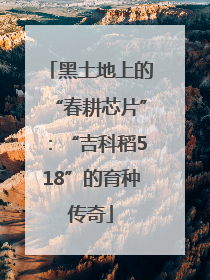 黑土地上的“春耕芯片”：“吉科稻518”的育种传奇