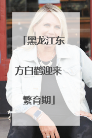 黑龙江东方白鹳迎来繁育期