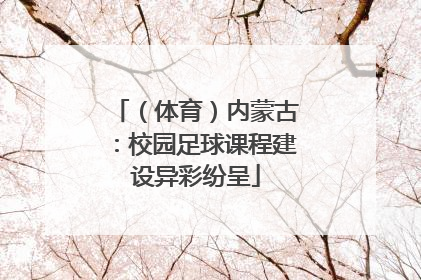（体育）内蒙古：校园足球课程建设异彩纷呈